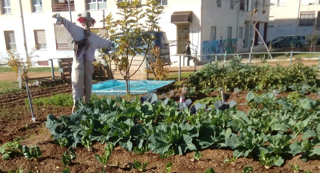 UPA pide que se autorice el trabajo en los huertos y parcelas familiares en toda España