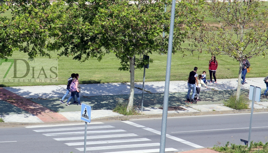 Fragoso, satisfecho con la actuación de niños y padres en el primer día de &#39;desconfinamiento&#39;