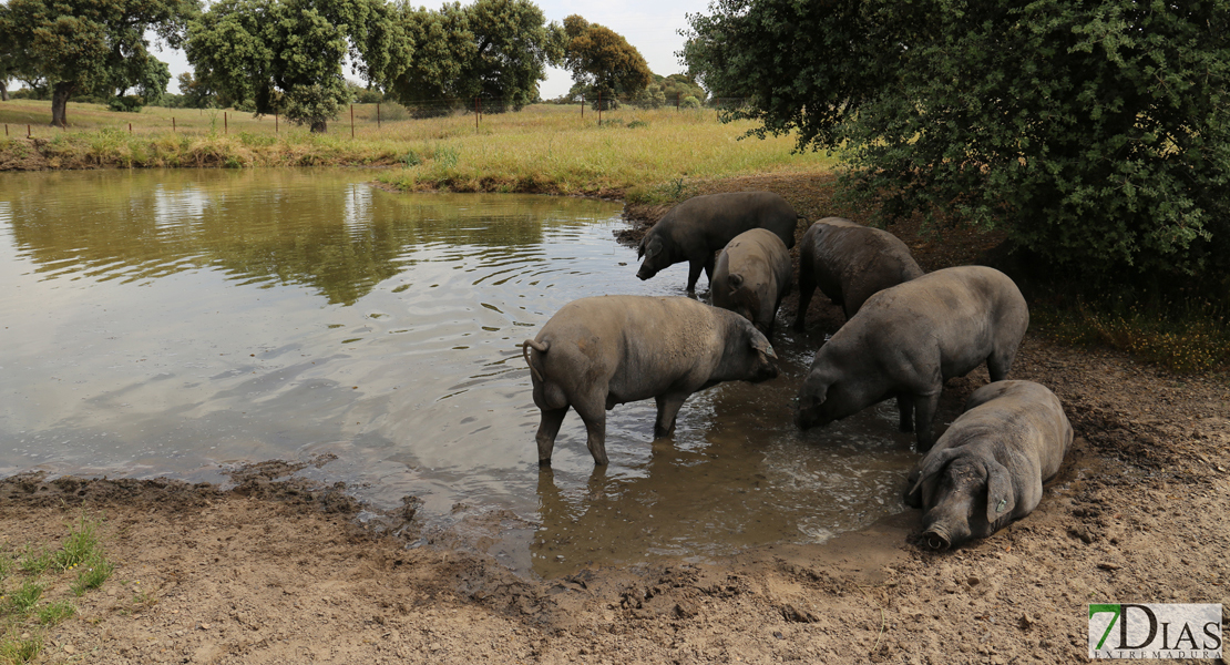 La Diputación garantiza el mantenimiento del Vivero Provincial y la finca La Cocosa