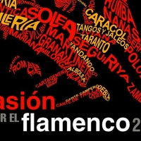 &#39;Pasión por el Flamenco&#39; ofrece un concierto online promovido por la Diputación de Badajoz