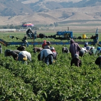 APAG ofrece al Gobierno un Plan de Rescate para la agricultura y la ganadería