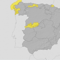 El norte extremeño en aviso amarillo por fuertes lluvias