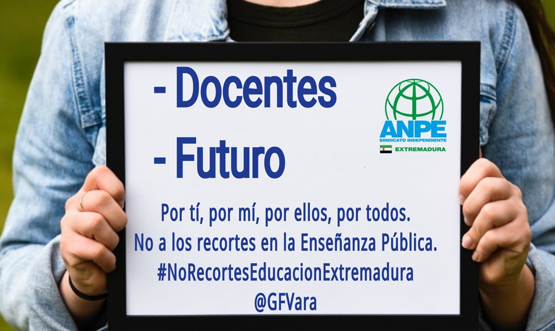 Campañas entre los docentes para frenar “la mutilación” de la enseñanza pública