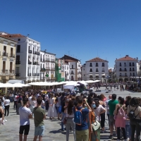 Alcalde de Cáceres: “Pido perdón por las imágenes de ayer en la Plaza Mayor”