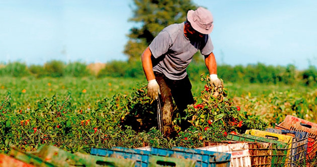 APAG Asaja pide a la inspección de trabajo que respete a los agricultores y ganaderos