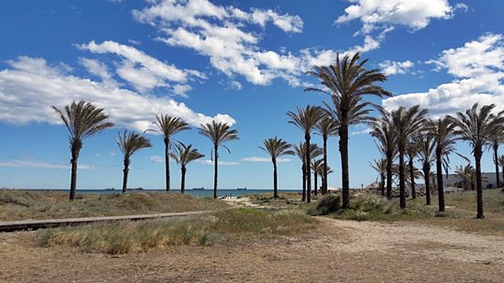 Muere un hombre en la playa El Pinar de Castelló