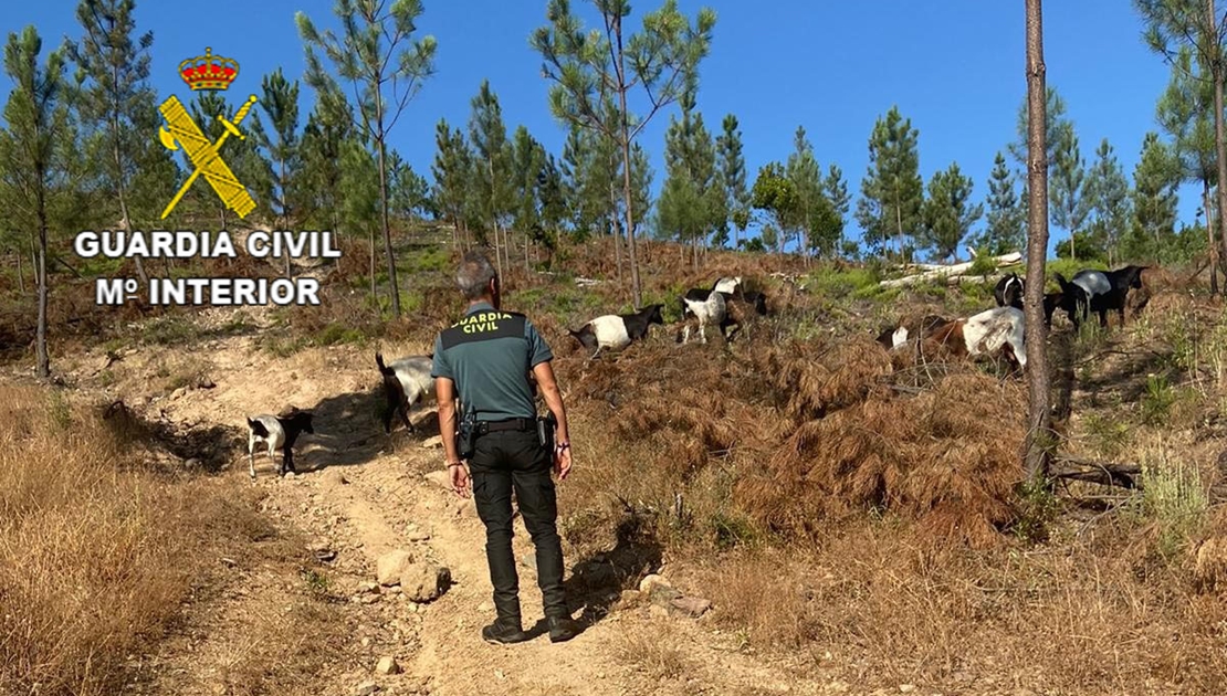 El vecino de Jola fue encontrado inconsciente en el interior de una pequeña poza