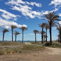 Muere un hombre en la playa El Pinar de Castelló