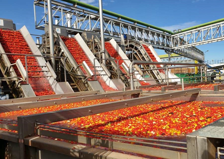 Destacan la capacidad de liderazgo del sector tomatero extremeño