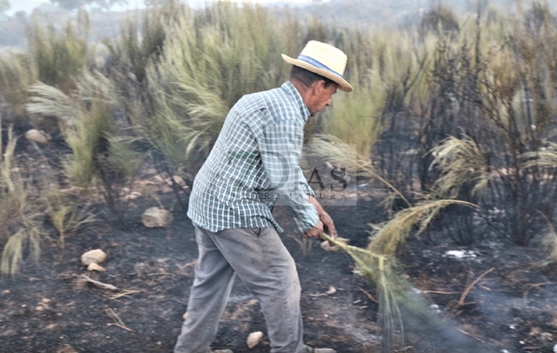 Consiguen controlar un grave incendio antes de traspasar la frontera luso/extremeña