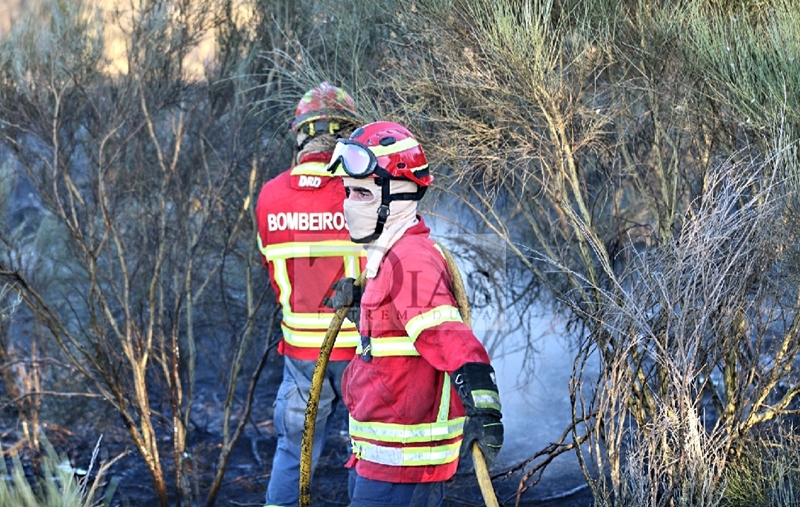 Consiguen controlar un grave incendio antes de traspasar la frontera luso/extremeña