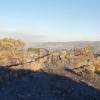 Consiguen controlar un grave incendio antes de traspasar la frontera luso/extremeña