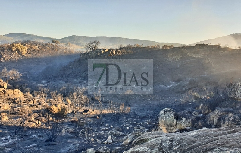 Consiguen controlar un grave incendio antes de traspasar la frontera luso/extremeña