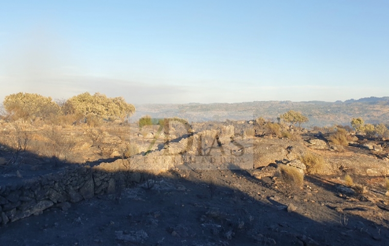 Consiguen controlar un grave incendio antes de traspasar la frontera luso/extremeña