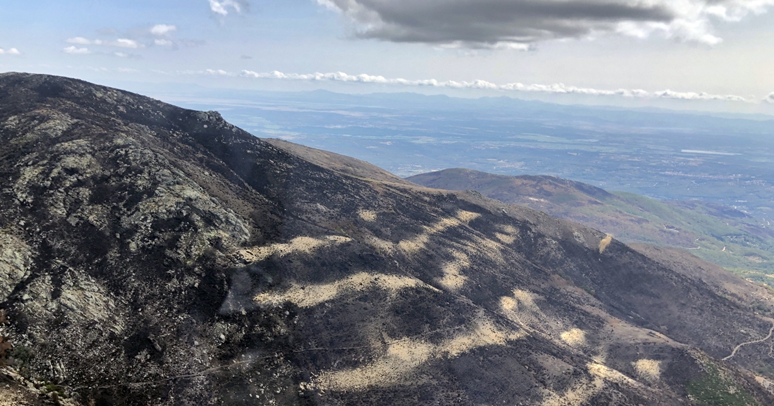 La Junta prohíbe cazar en los terrenos afectados por el incendio del Jerte y La Vera