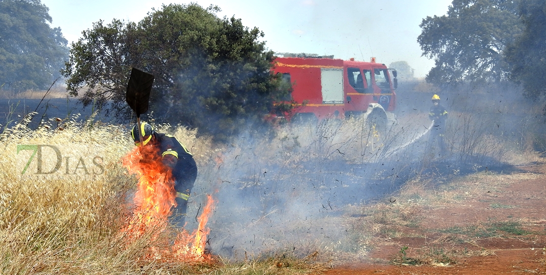 Recuerdan que las quemas de rastrojos están prohibidas en Extremadura