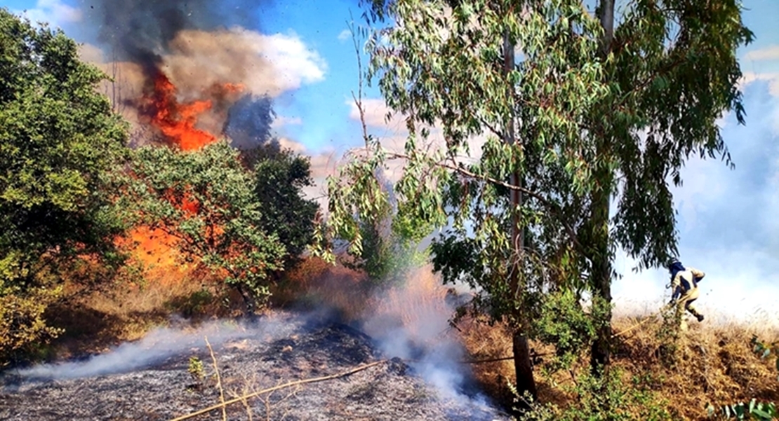 El Plan INFOEX trabaja en 25 incendios forestales la última semana