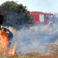 La consejera recuerda que la quema de rastrojos está prohibida en Extremadura