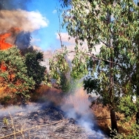 El Plan INFOEX trabaja en 25 incendios forestales la última semana