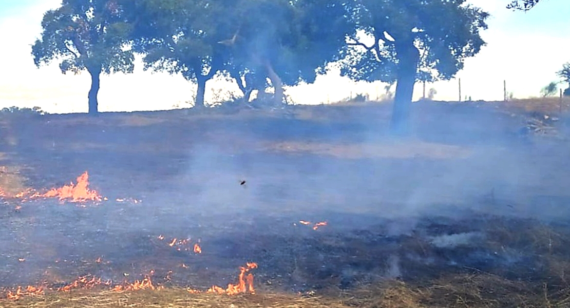 Incendio forestal cercano a San Vicente de Alcántara (BA)