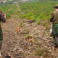 Ecologistas: “Por fin deja de ser legal cazar en los Parques Nacionales”