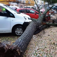 Convocan ayudas para reparar los daños del temporal en Extremadura