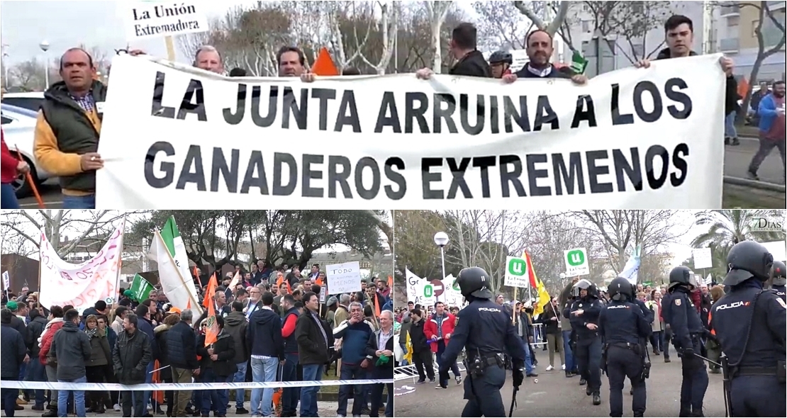 “Me arrepiento de haber vuelto a Extremadura, no veo futuro para mis hijos”