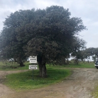 Encuentran al hombre desaparecido cerca de Trujillo (Cáceres)