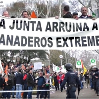 “Me arrepiento de haber vuelto a Extremadura, no veo futuro para mis hijos”