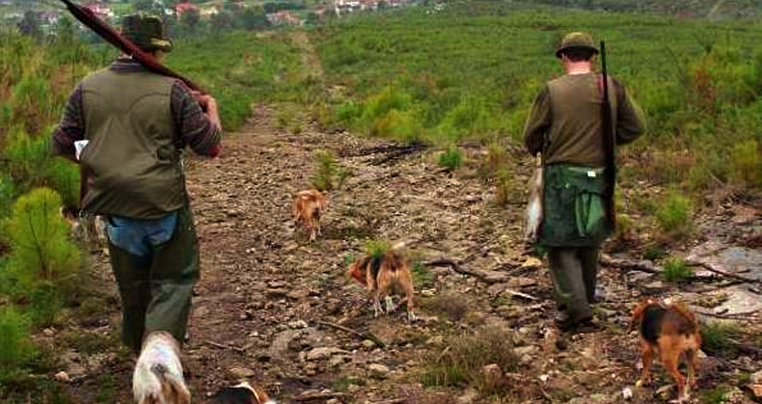 ANPBA presenta recurso contra la BIC de monterías y rehalas en Extremadura