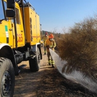 INFOEX: Arden 25 hectáreas en 12 incendios en Extremadura