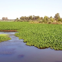 Monago pregunta por el alcance del dragado del Guadiana en Badajoz