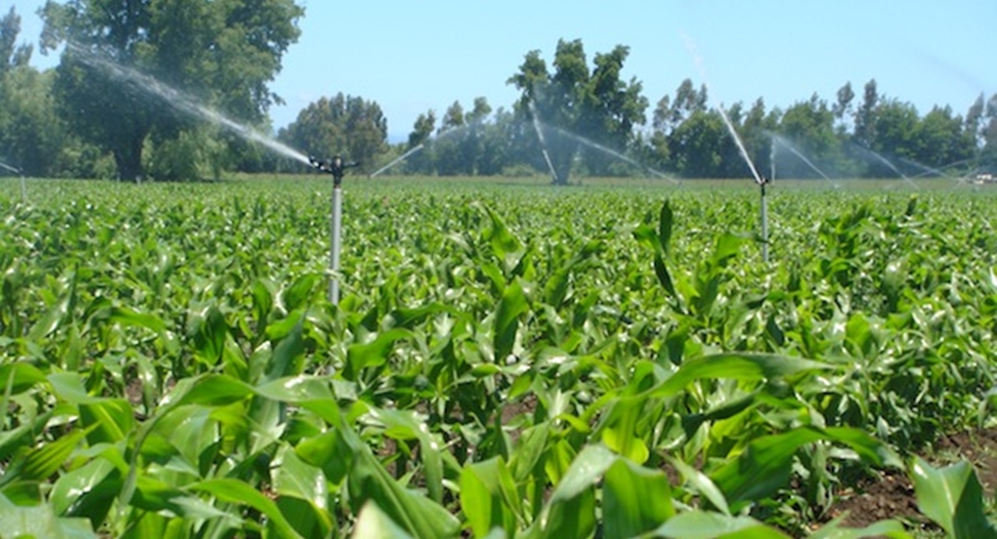 Ecologistas: “Un río es una corriente continua de agua, no un rosario de charcos”