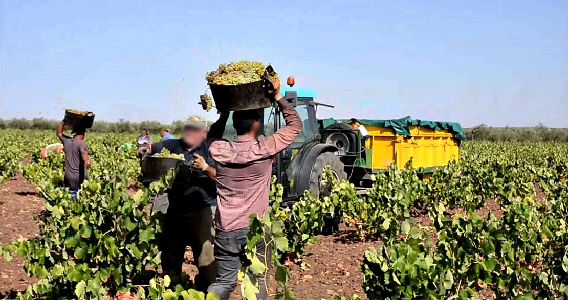 Extremadura pierde trabajadores extranjeros en pleno verano