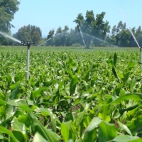 Ecologistas: “Un río es una corriente continua de agua, no un rosario de charcos”