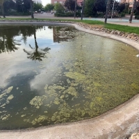 Cabezas pide limpiar el lago del parque Bioclimático