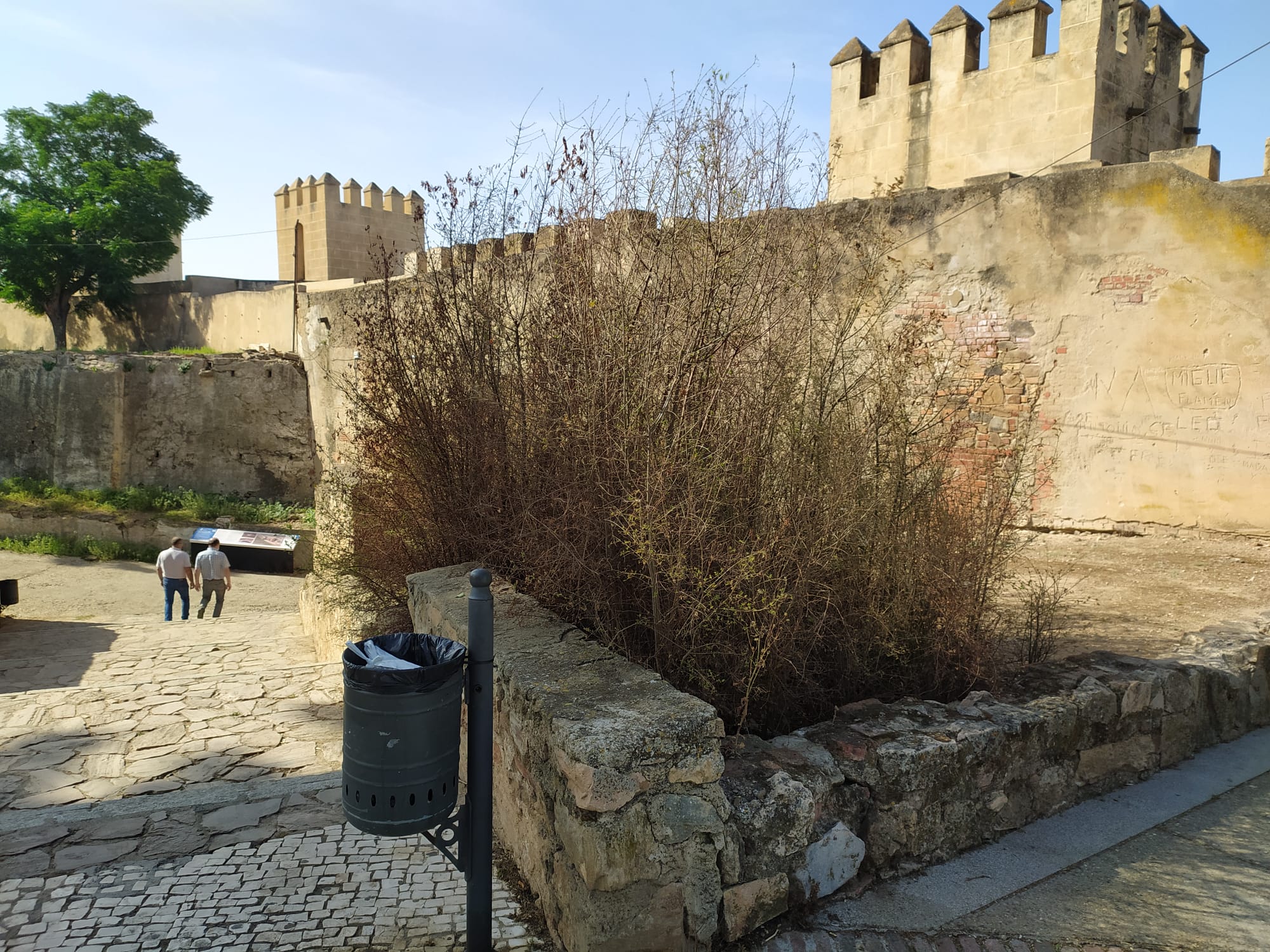 El abandono de la Alcazaba en imágenes: vallas, pintadas, socavones...