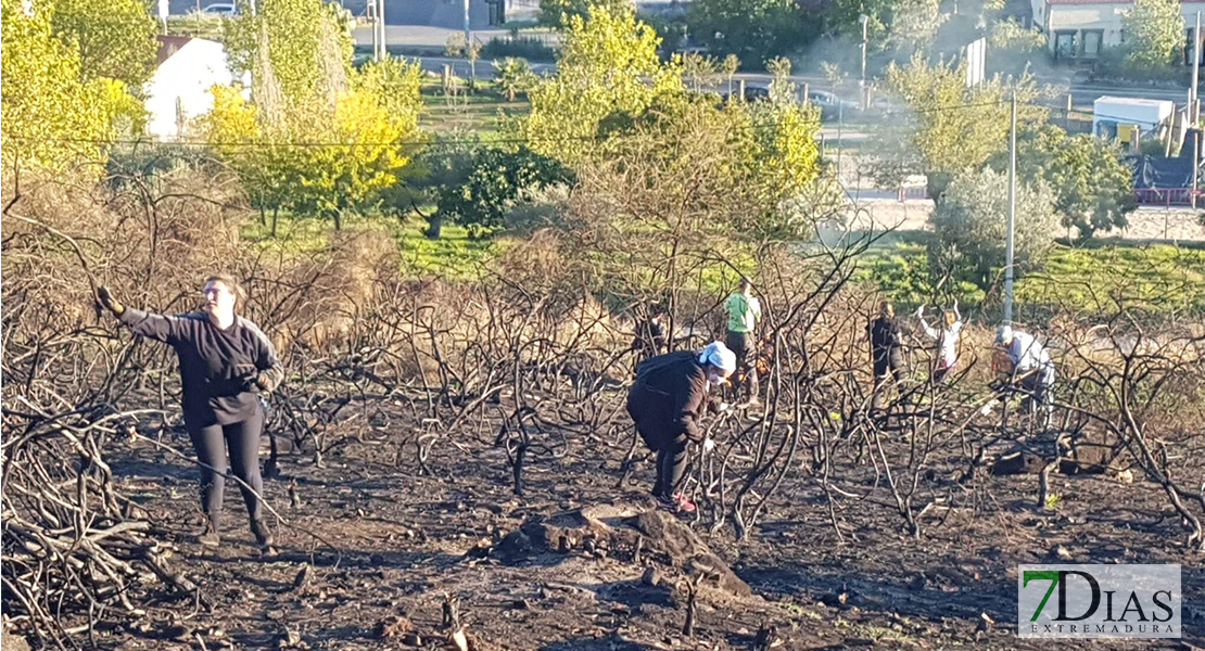 REPOR - Objetivo: recuperar los parajes que el fuego arrasó en Alburquerque