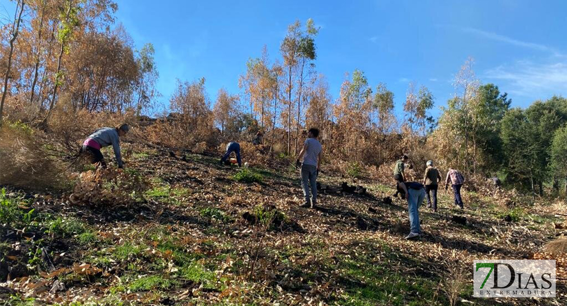 REPOR - Objetivo: recuperar los parajes que el fuego arrasó en Alburquerque