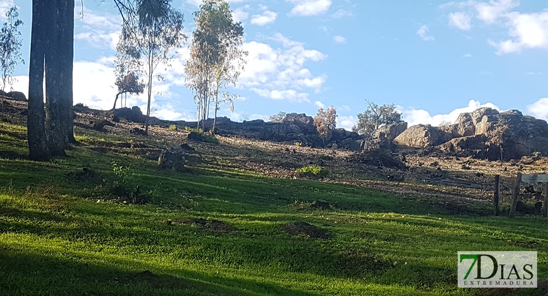 REPOR - Objetivo: recuperar los parajes que el fuego arrasó en Alburquerque