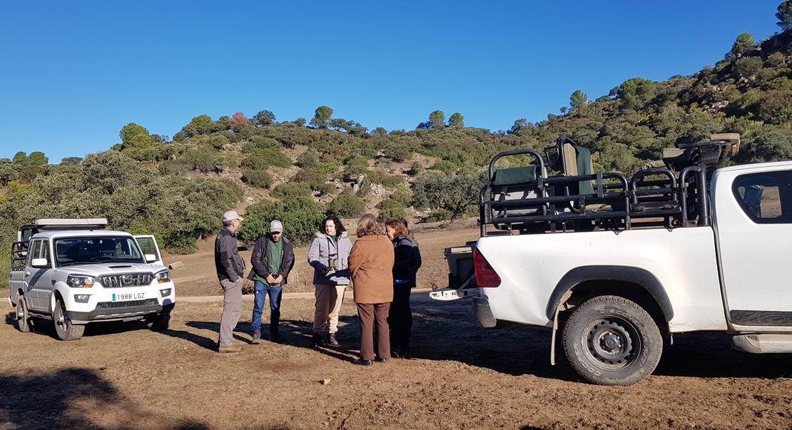 REPOR: En busca del lince ibérico, un safari de lujo sin tiros