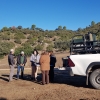 REPOR: En busca del lince ibérico, un safari de lujo sin tiros