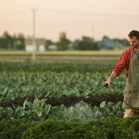 Ayudas a jóvenes agricultores para la creación de empresas (segundo listado)