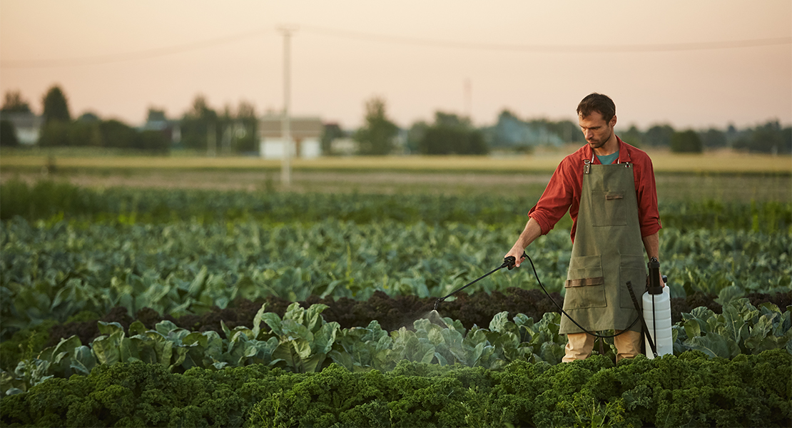 Ayudas a la creación de empresas por jóvenes agricultores: publicado el segundo listado