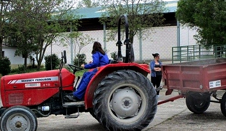 La Consejería aprueba 72 proyectos para incorporar a jóvenes agricultores