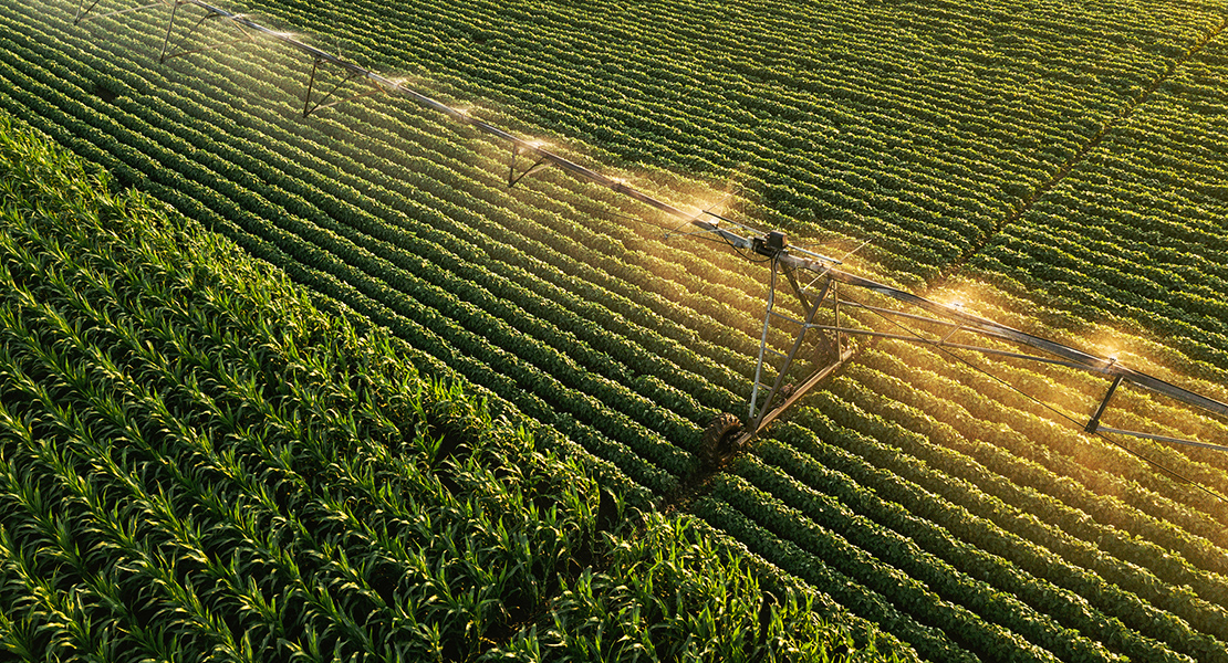 La Unión: ¿Para qué tiene Extremadura transferidas las competencias en materia de agricultura?