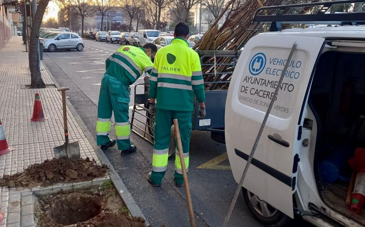 La campaña de poda llega a la Avenida de París (CC)