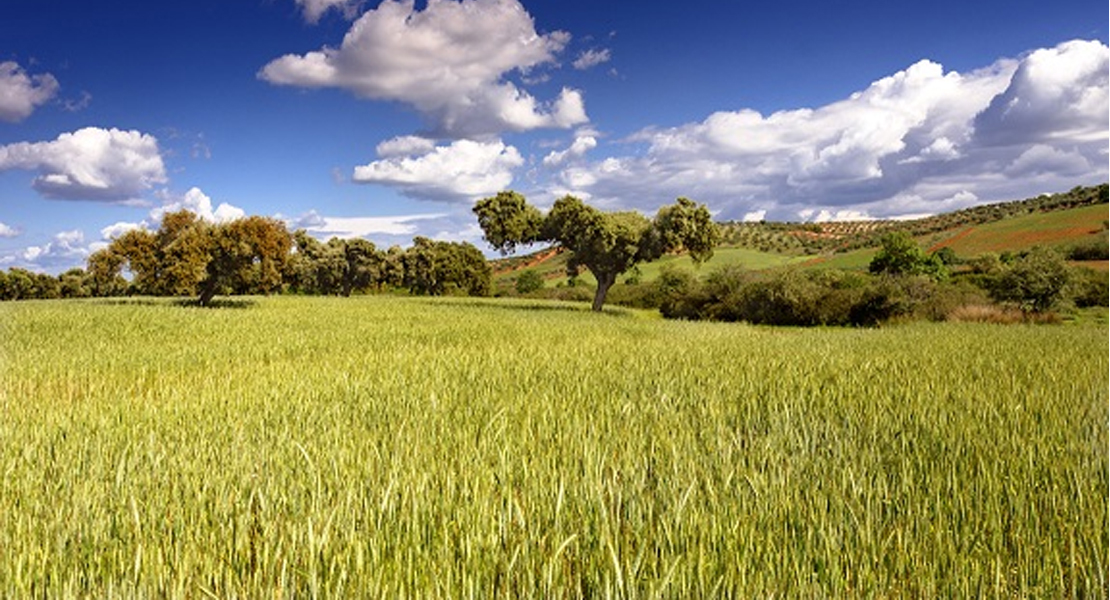 La Junta abona 37 millones del pago básico, verde y pago complementario a jóvenes agricultores