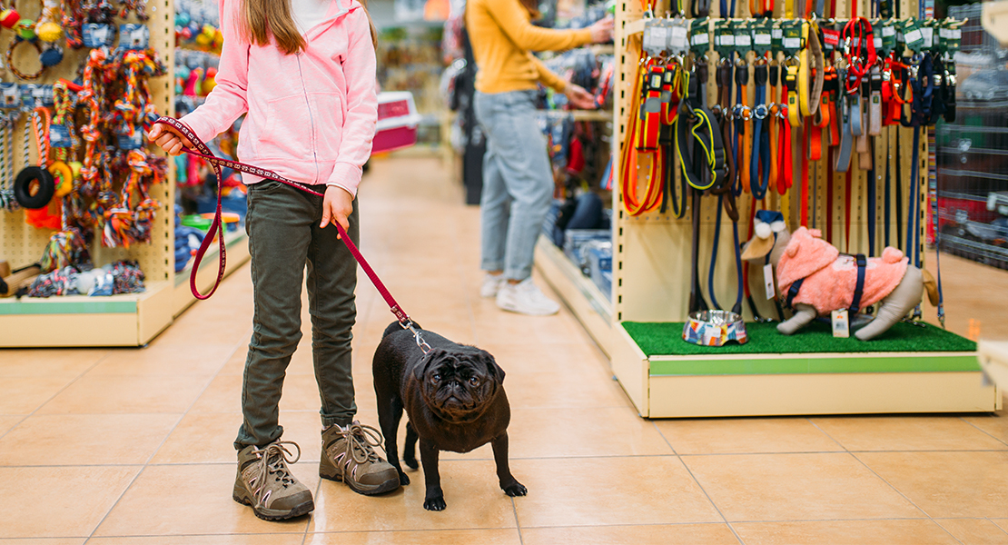 Nueva ley de protección animal: adiós a la venta en tiendas de mascotas y a los sacrificios