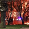 Incendio en los aledaños del Mcdonalds (Avd. de Elvas)